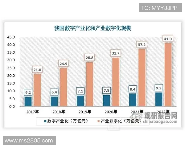 篮球联赛的崛起与发展探索：从全球视野看竞技体育的未来趋势